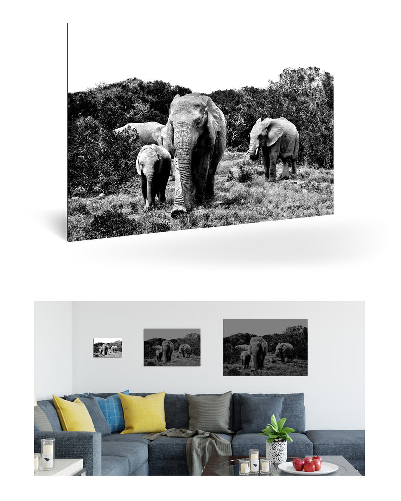 Port Elizabeth, Südafrika