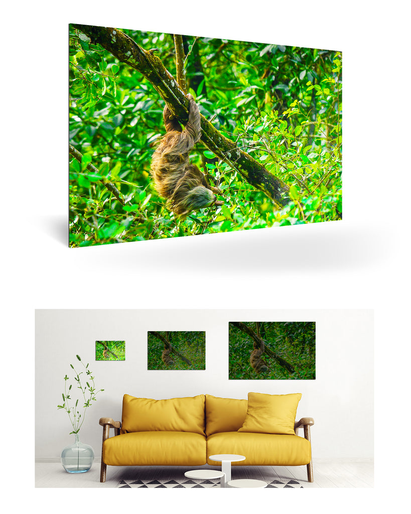 Puerto Limón, Costa Rica