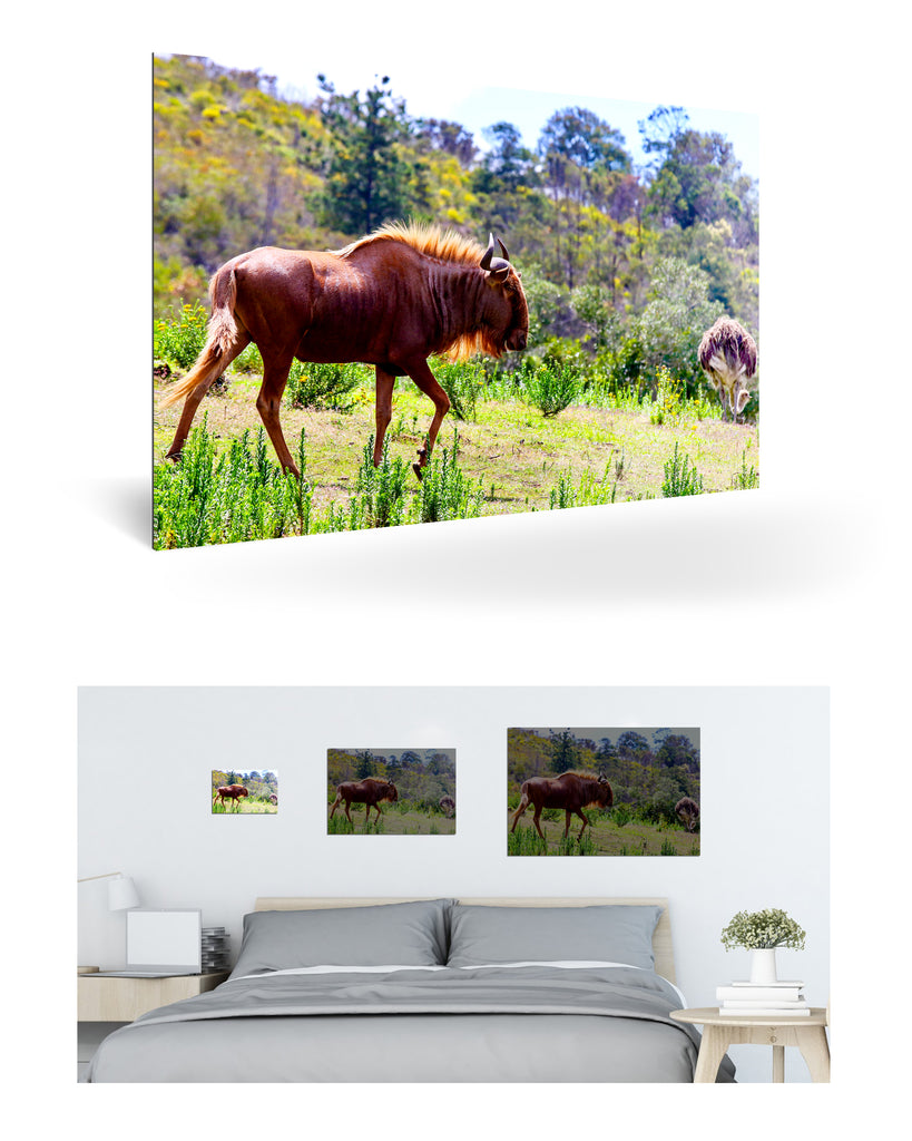 Mossel Bay, Südafrika