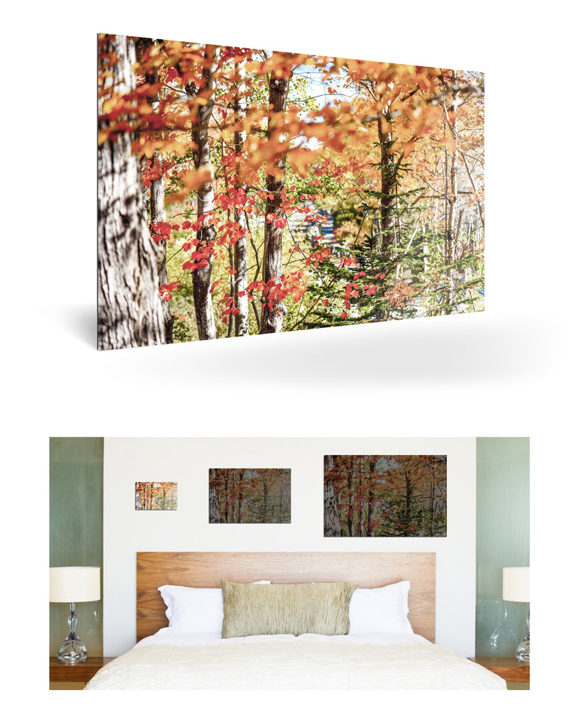 Bar Harbor, Vereinigte Staaten