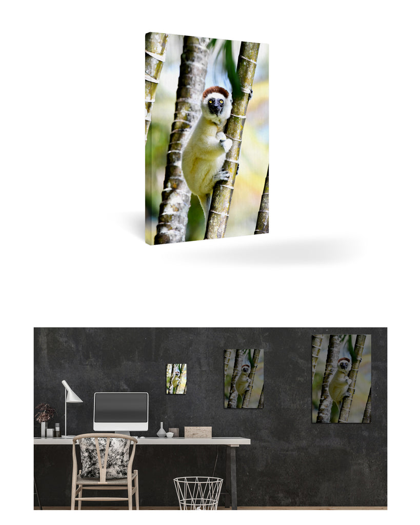 Tolagnaro, Madagaskar