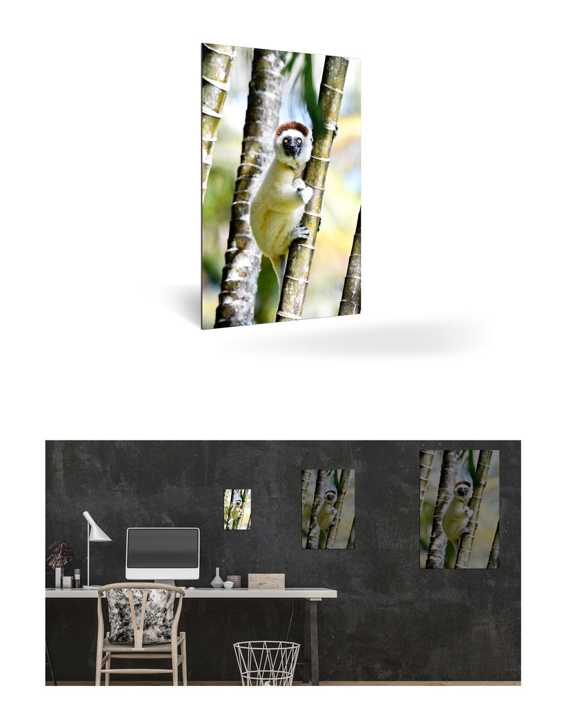 Tolagnaro, Madagaskar