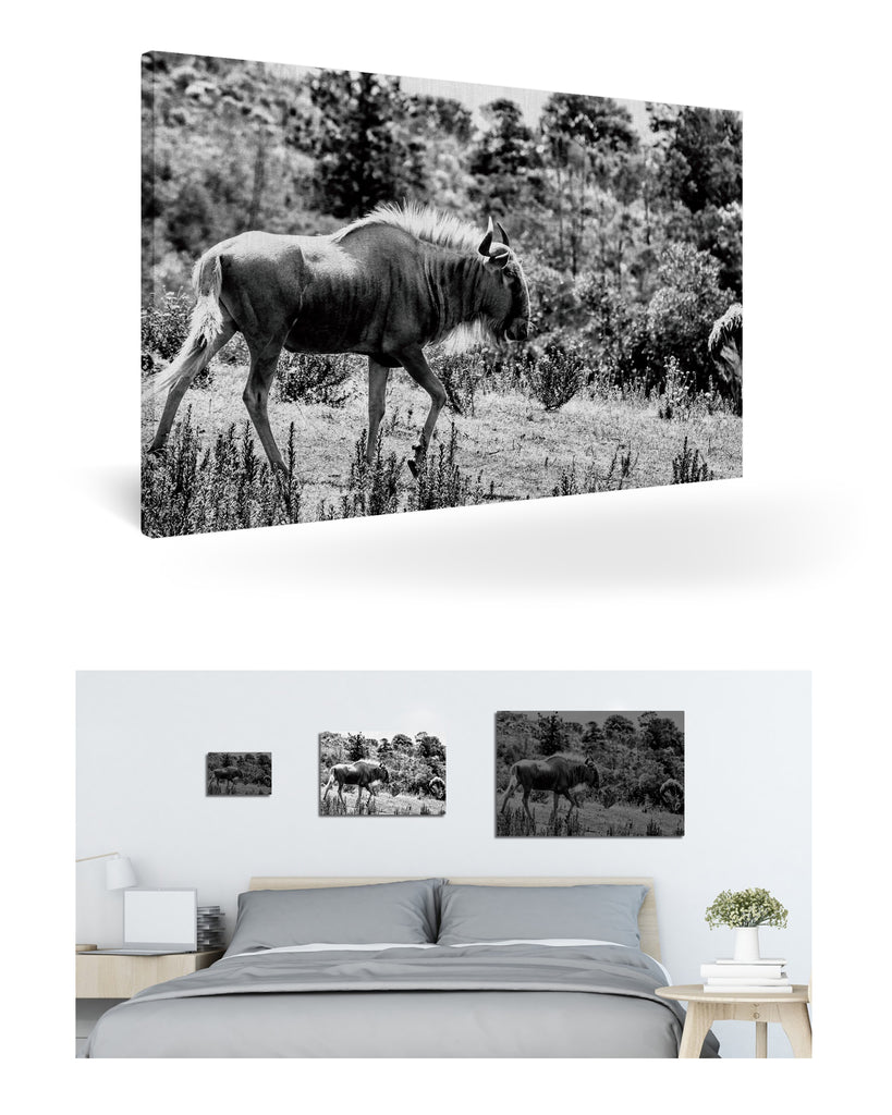 Mossel Bay, Südafrika