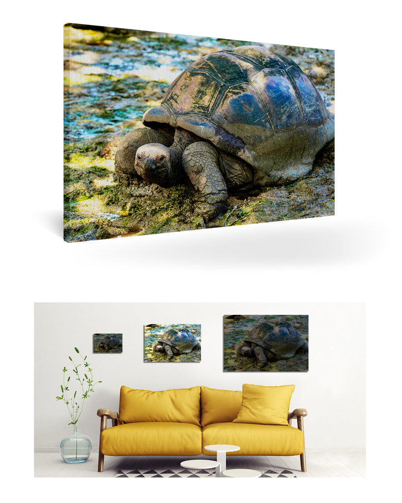 La Digue, Seychellen