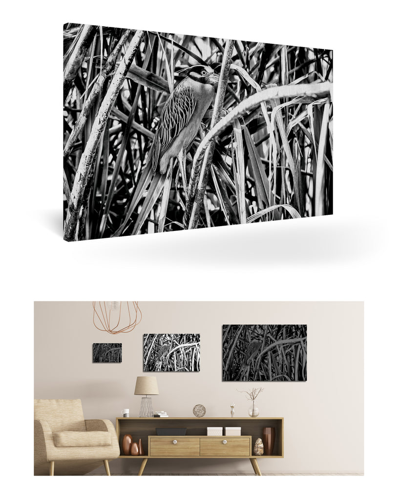 Puerto Limón, Costa Rica