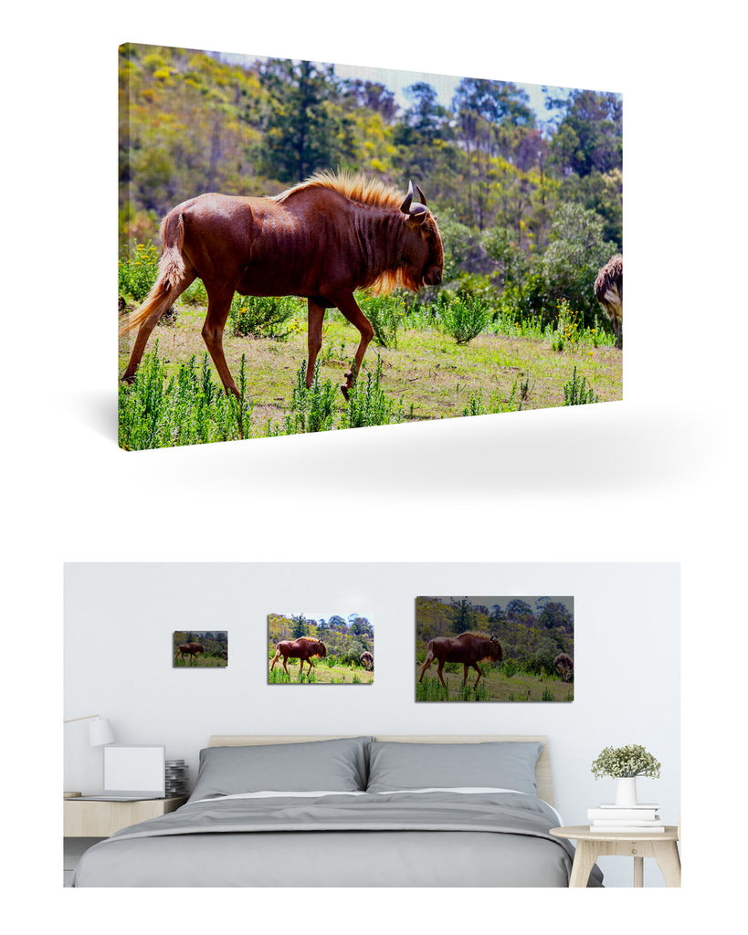 Mossel Bay, Südafrika