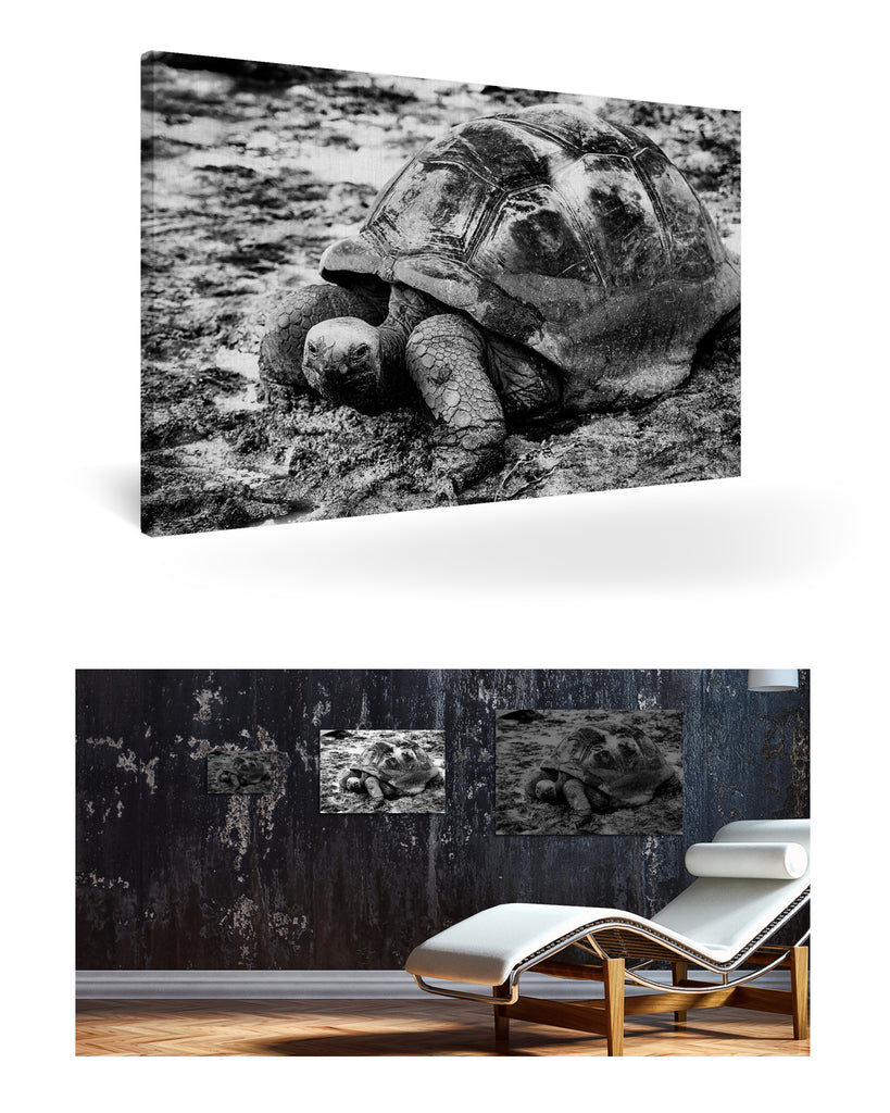 La Digue, Seychellen