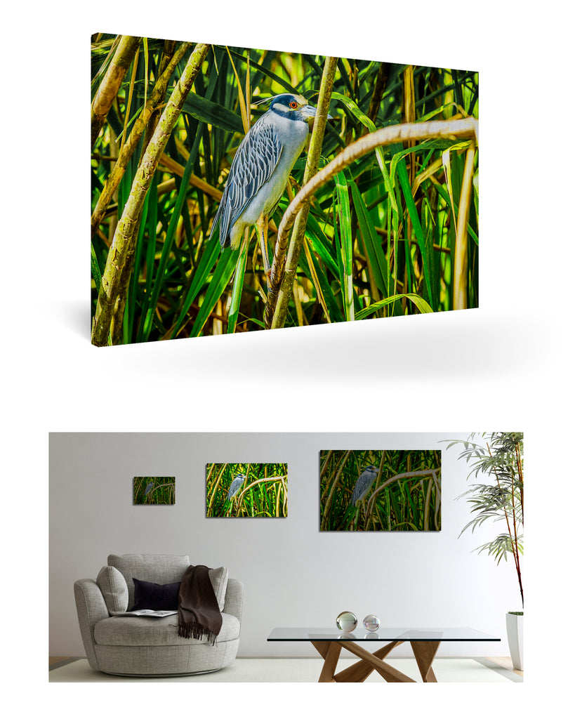 Puerto Limón, Costa Rica