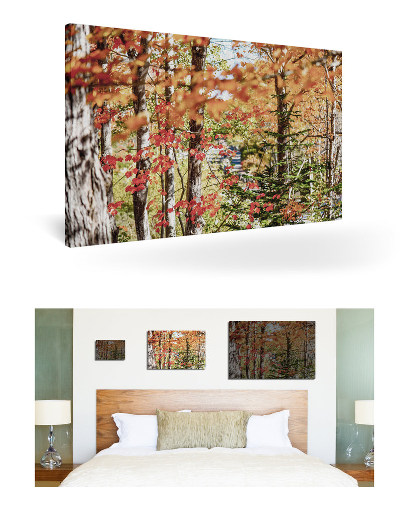 Bar Harbor, Vereinigte Staaten