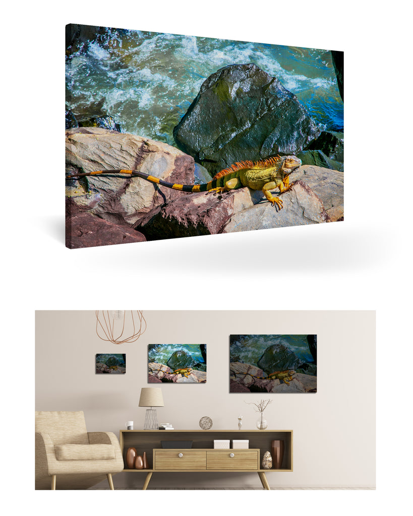 Puerto Limón, Costa Rica