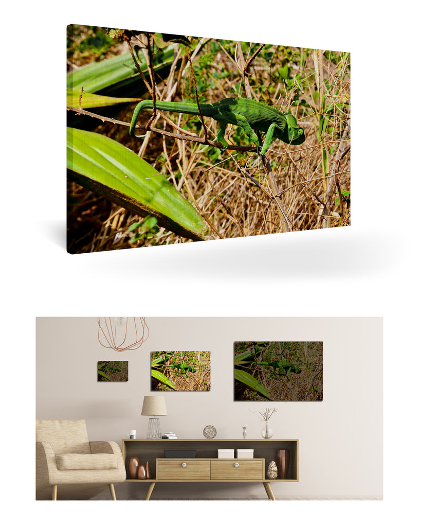 Antsiranana, Madagaskar