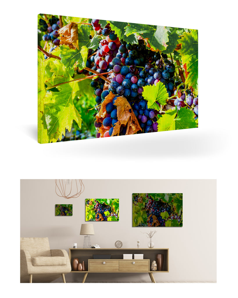 Bordeaux, Frankreich