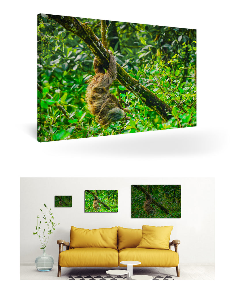 Puerto Limón, Costa Rica