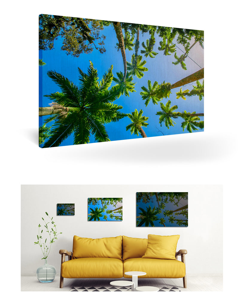 Puerto Limón, Costa Rica