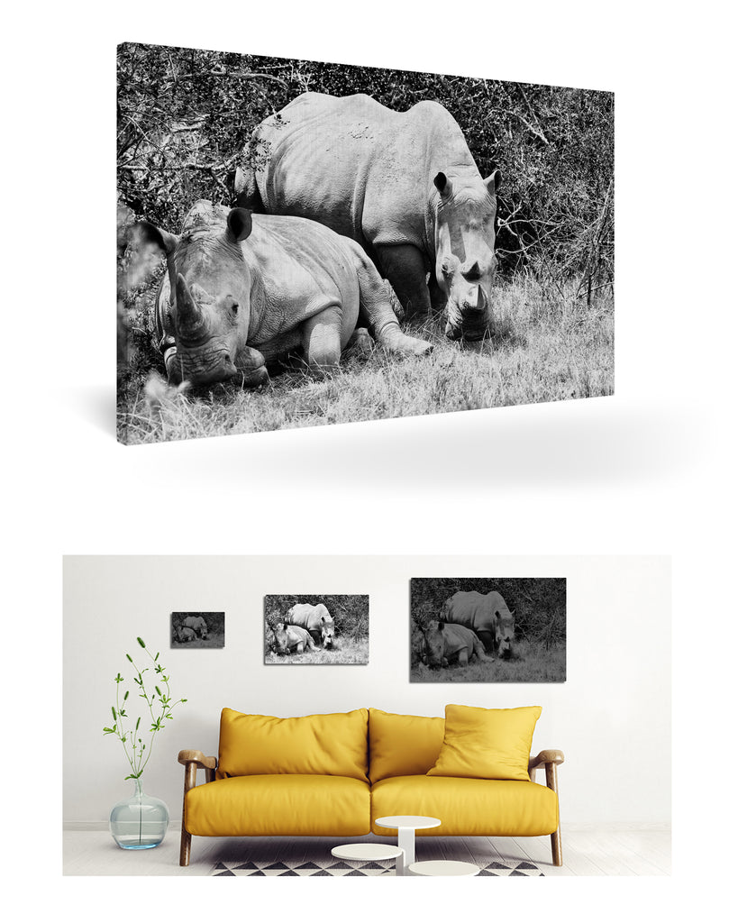 Port Elizabeth, Südafrika