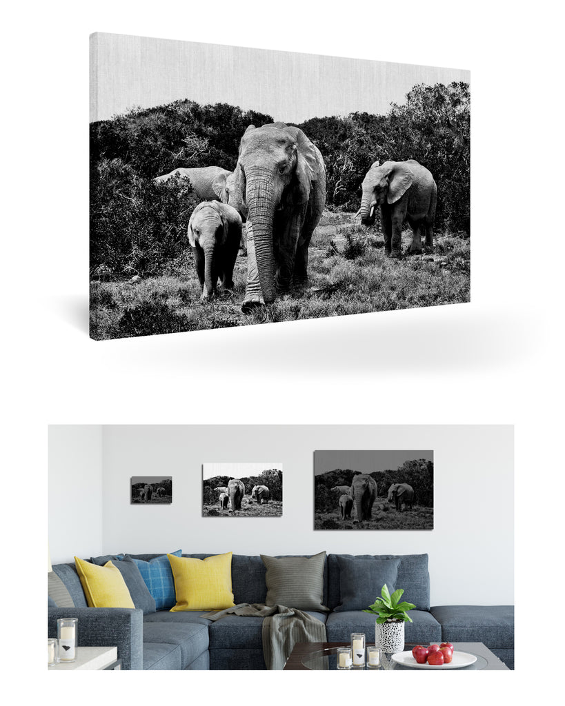 Port Elizabeth, Südafrika