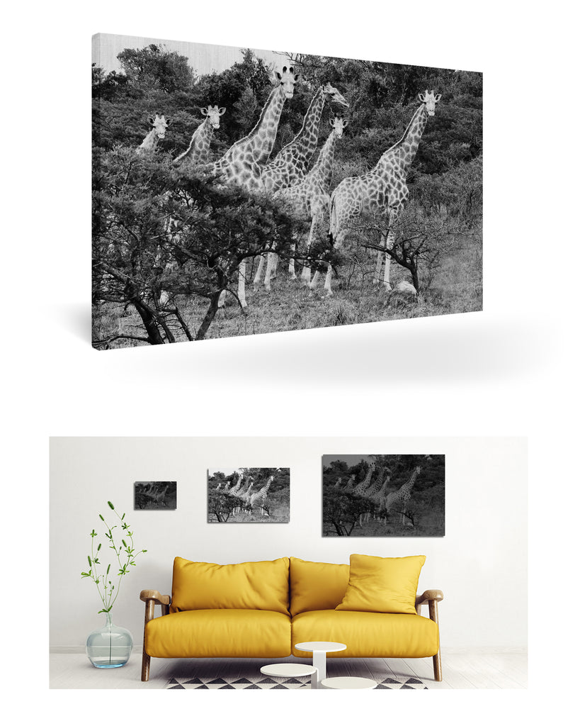 East London, Südafrika