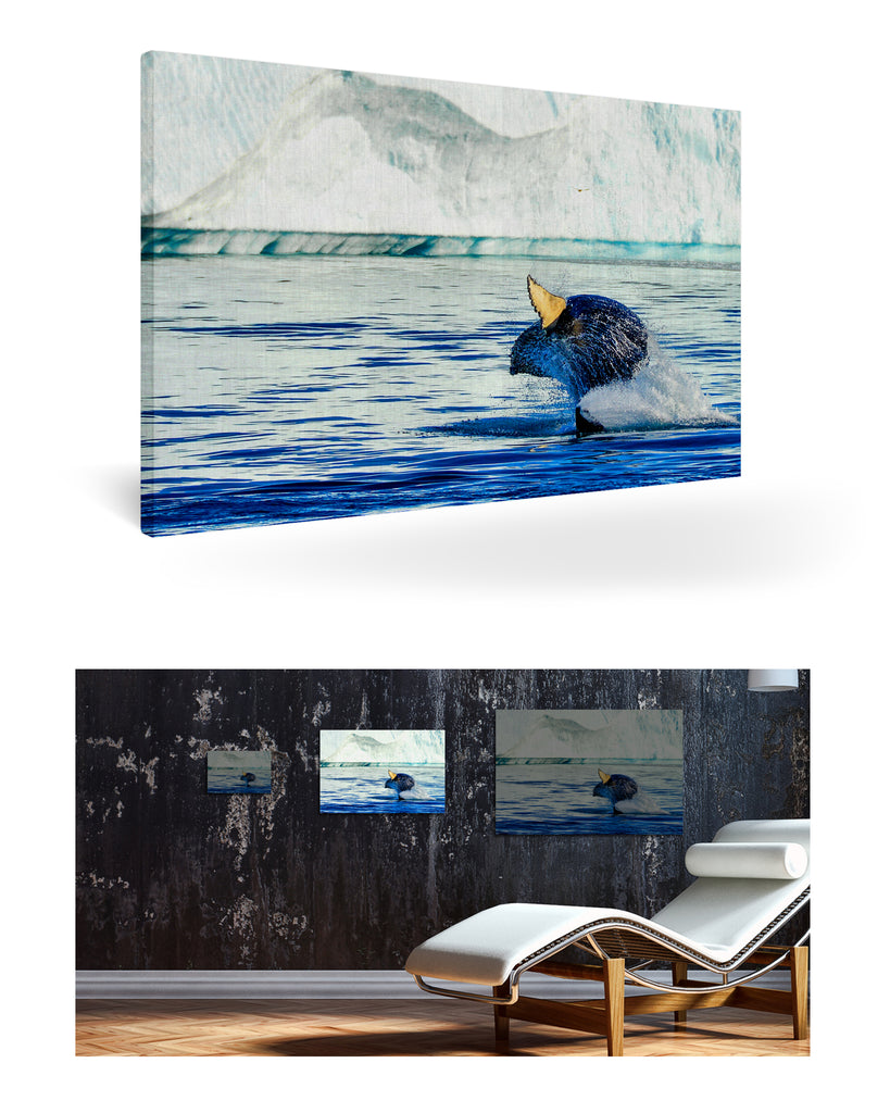 Ilulissat, Grönland