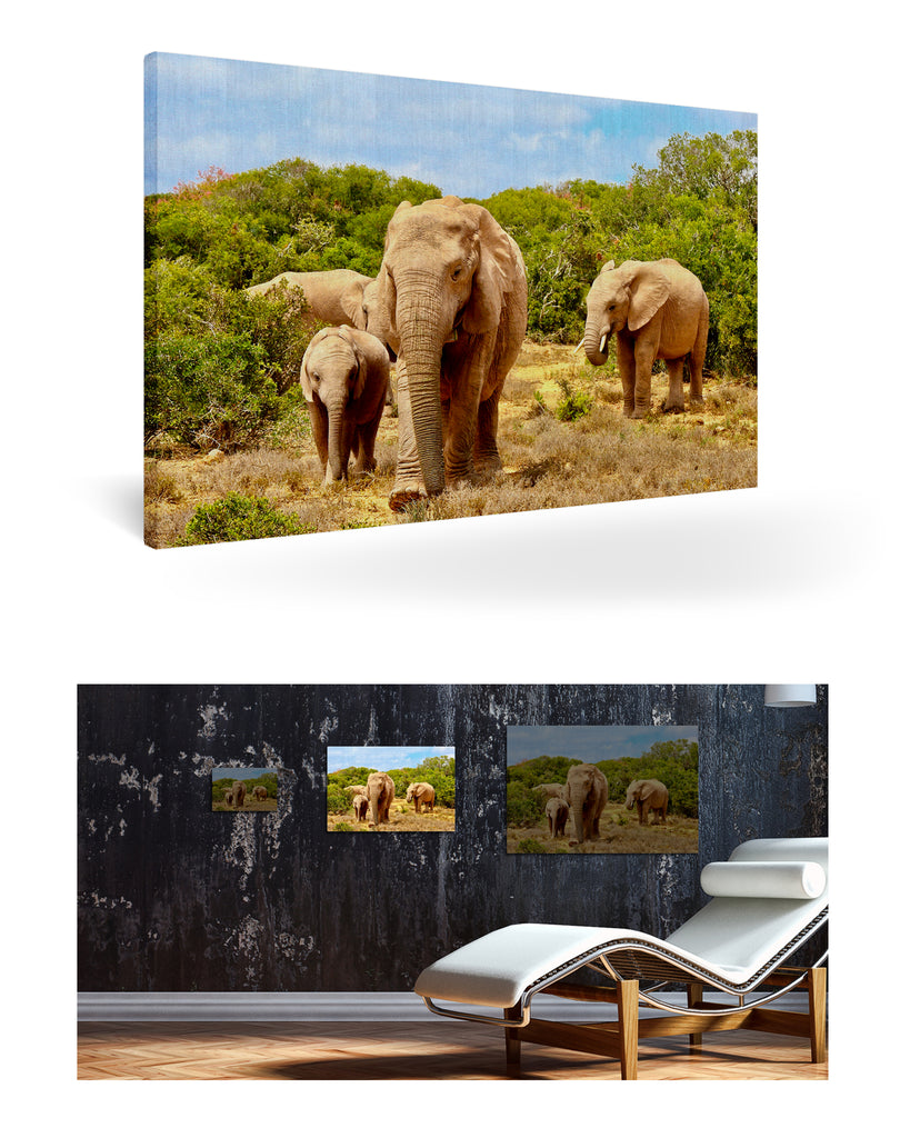 Port Elizabeth, Südafrika