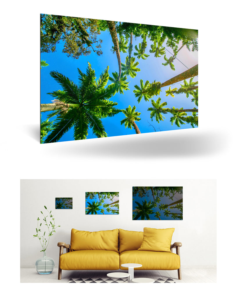 Puerto Limón, Costa Rica