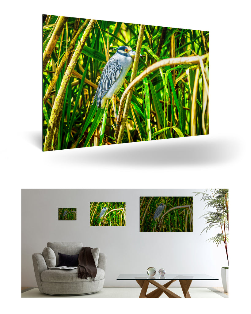 Puerto Limón, Costa Rica