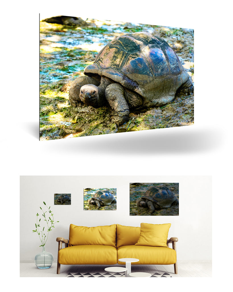 La Digue, Seychellen