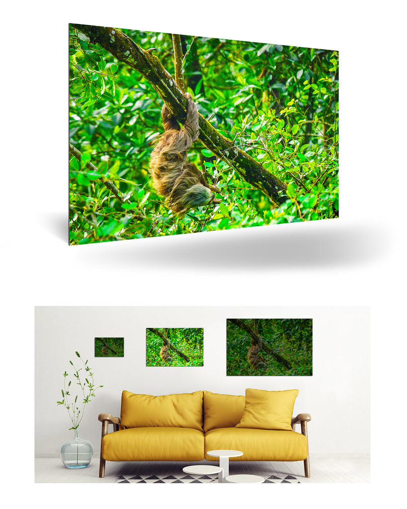 Puerto Limón, Costa Rica