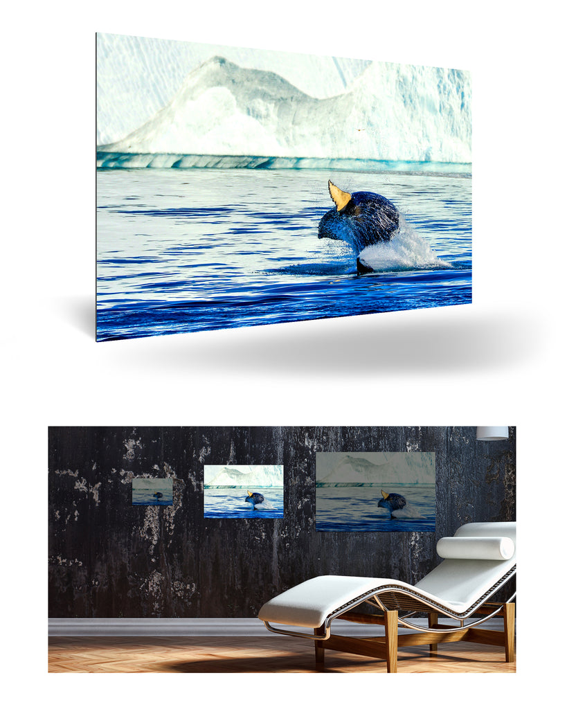 Ilulissat, Grönland