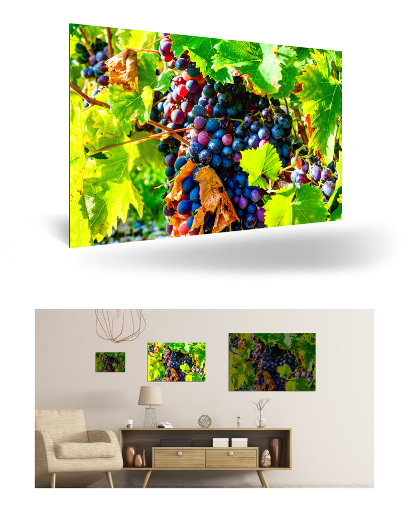 Bordeaux, Frankreich