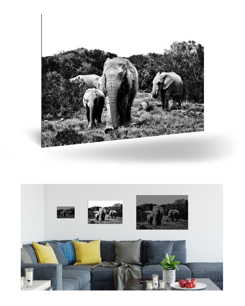 Port Elizabeth, Südafrika