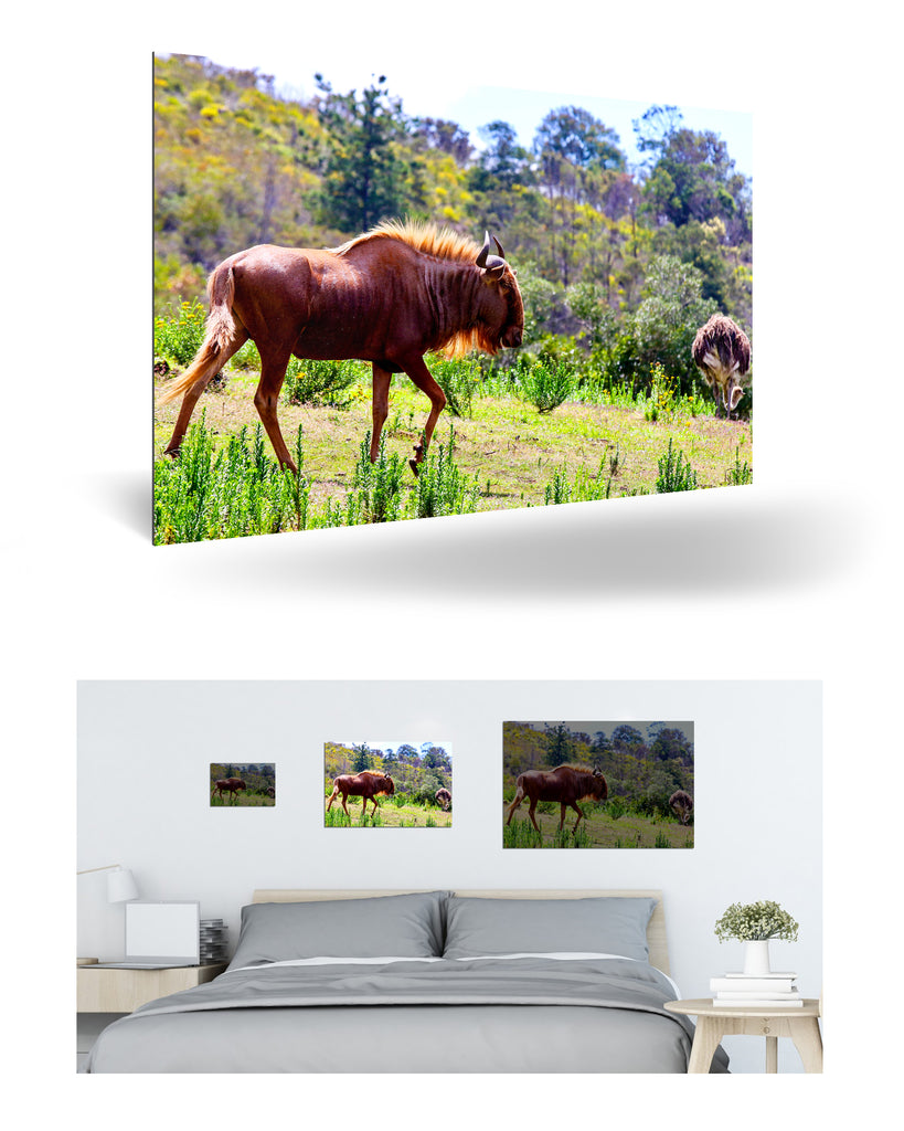 Mossel Bay, Südafrika