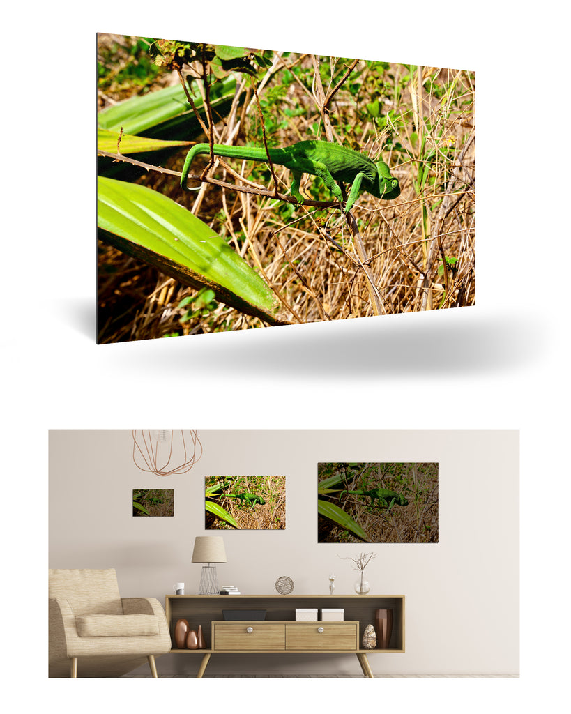 Antsiranana, Madagaskar