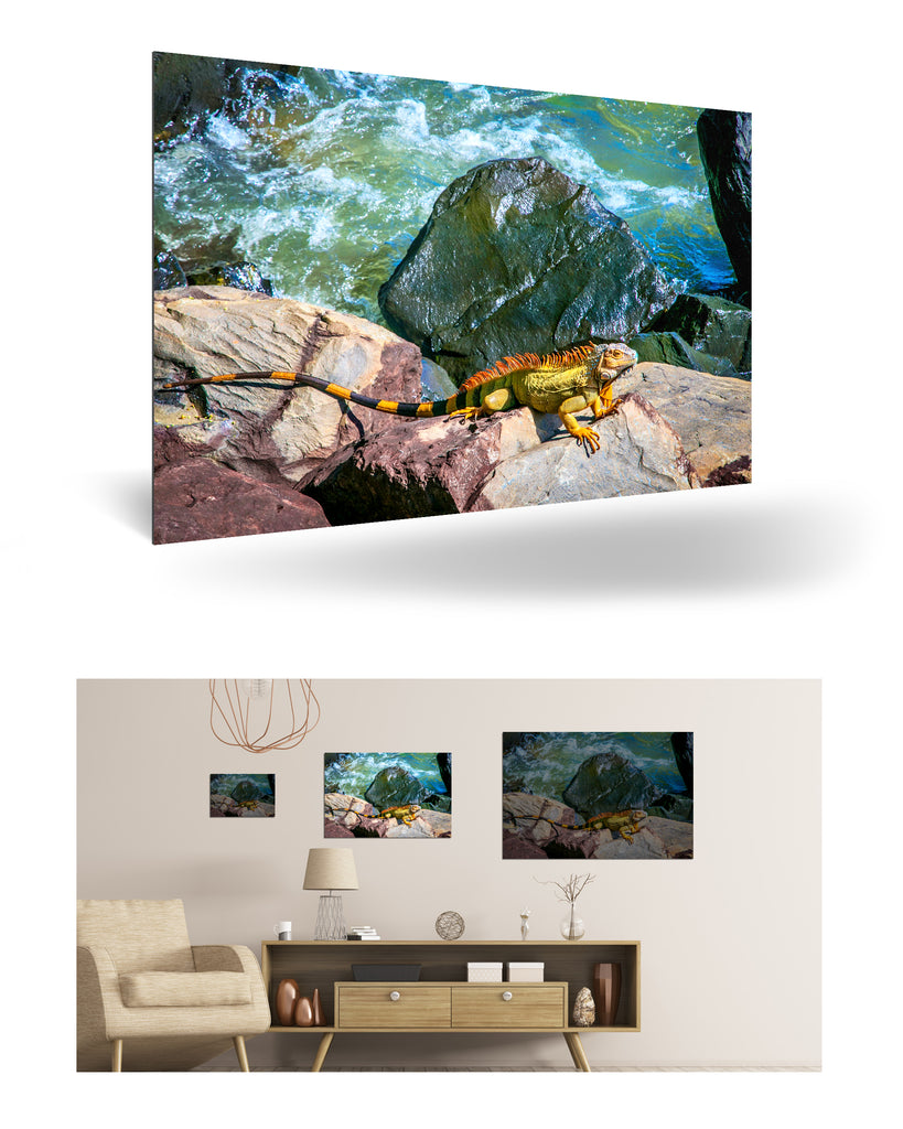 Puerto Limón, Costa Rica