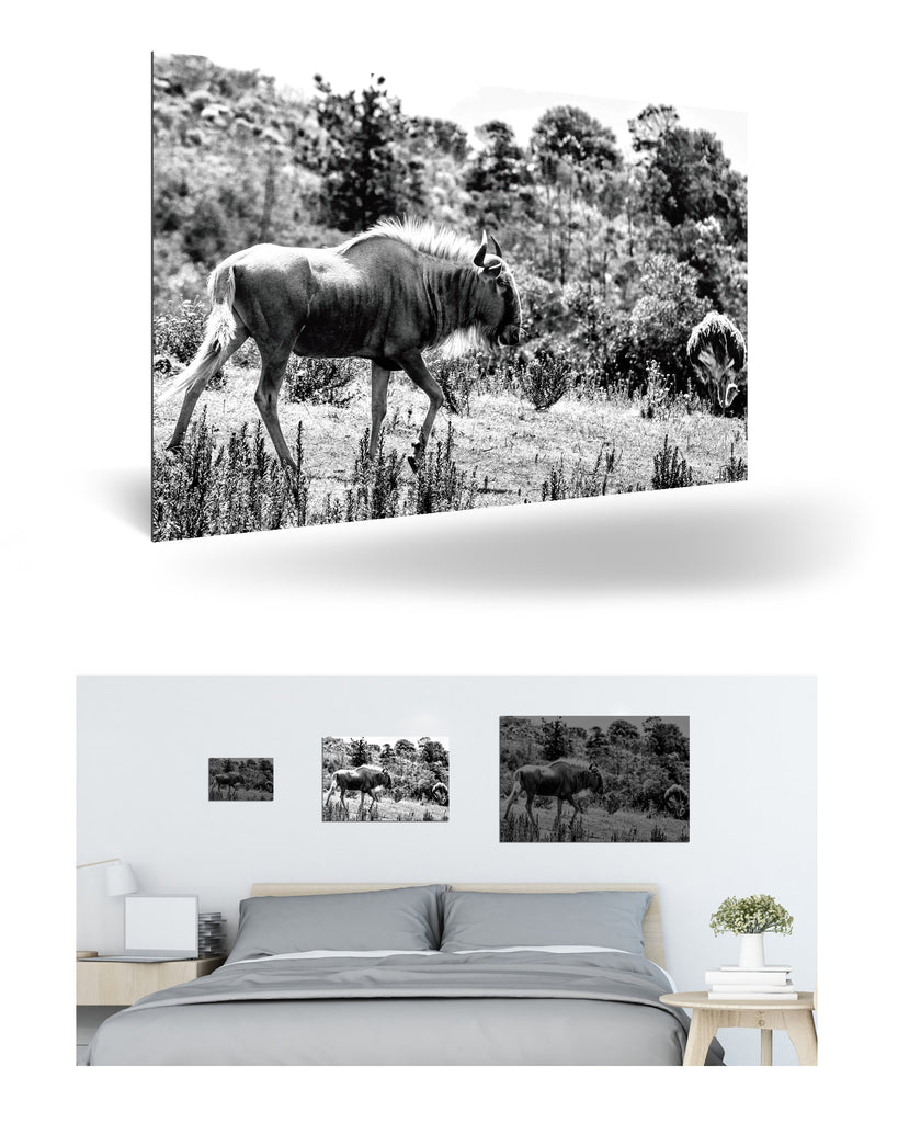 Mossel Bay, Südafrika