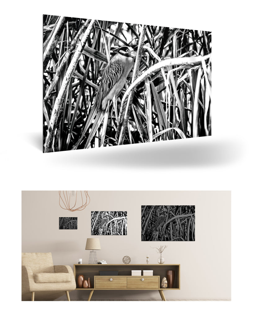 Puerto Limón, Costa Rica