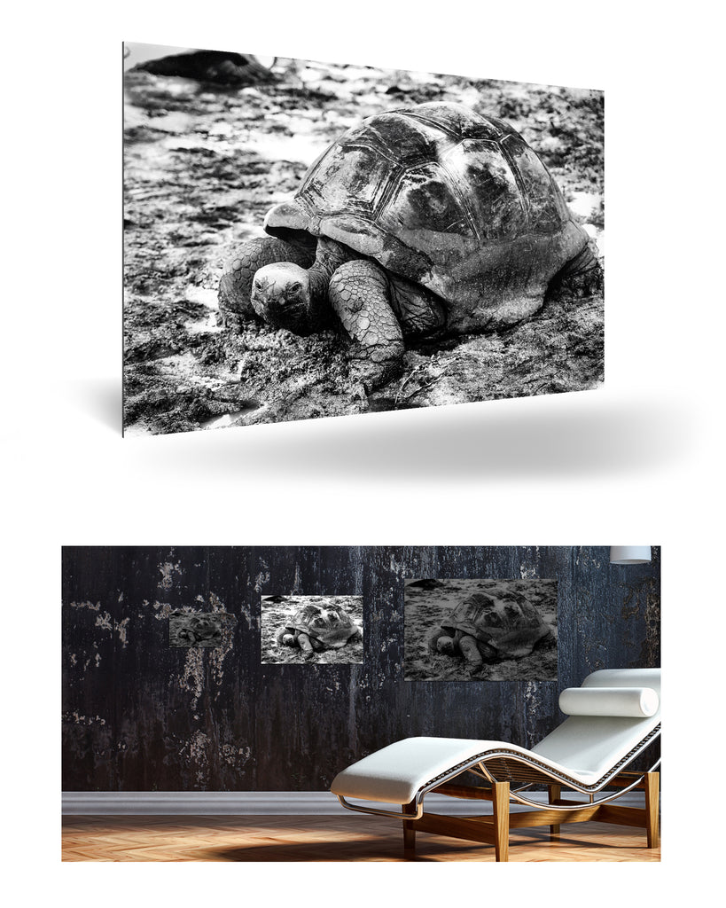 La Digue, Seychellen