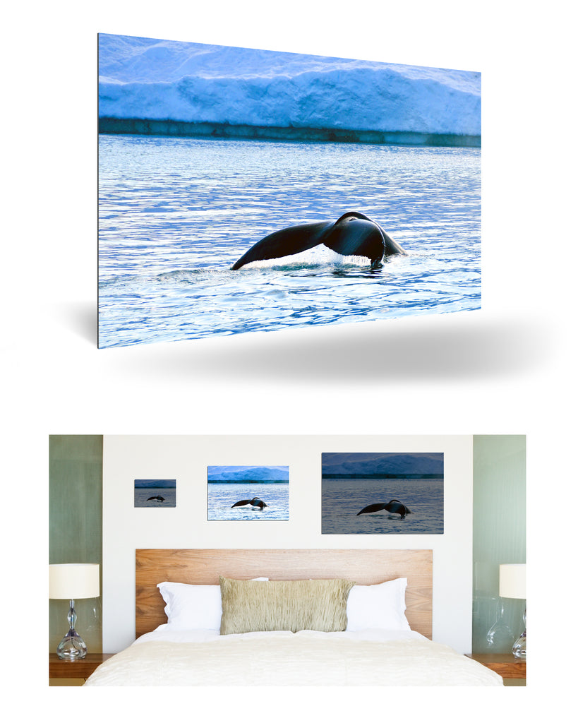 Ilulissat, Grönland