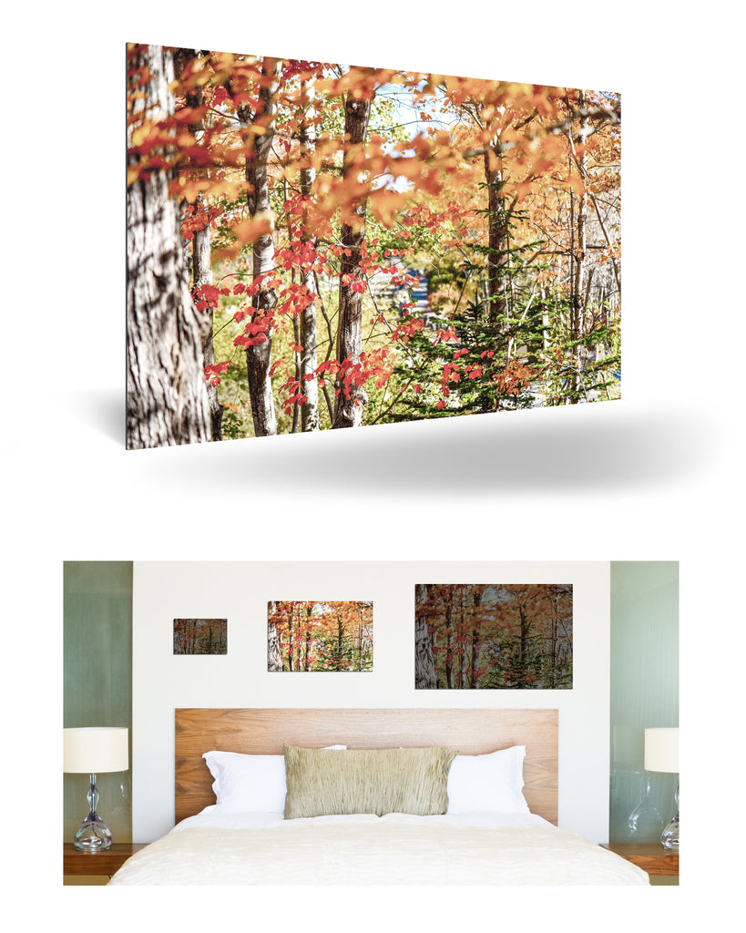 Bar Harbor, Vereinigte Staaten