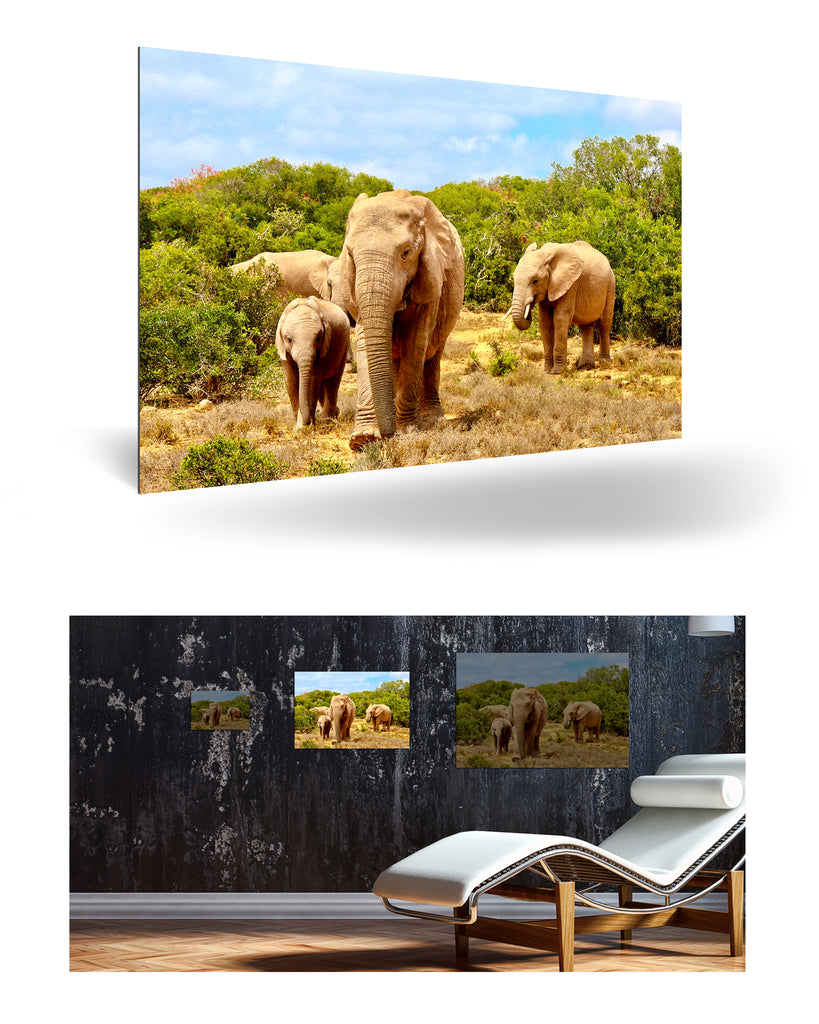 Port Elizabeth, Südafrika