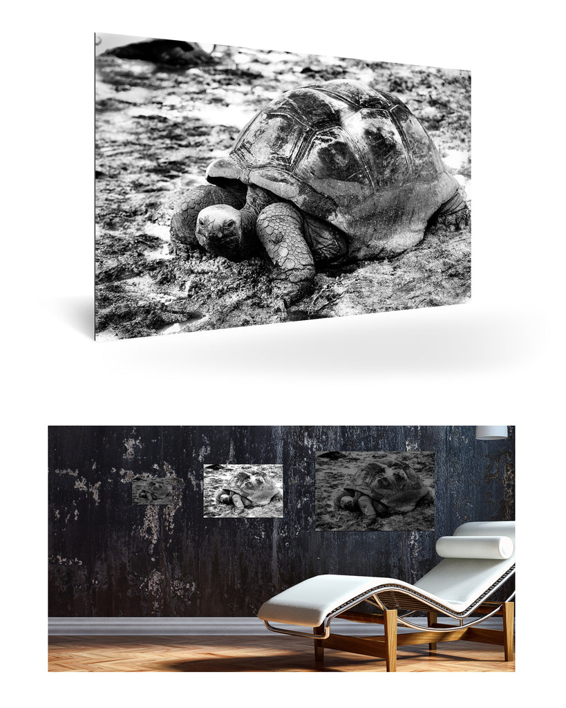 La Digue, Seychellen