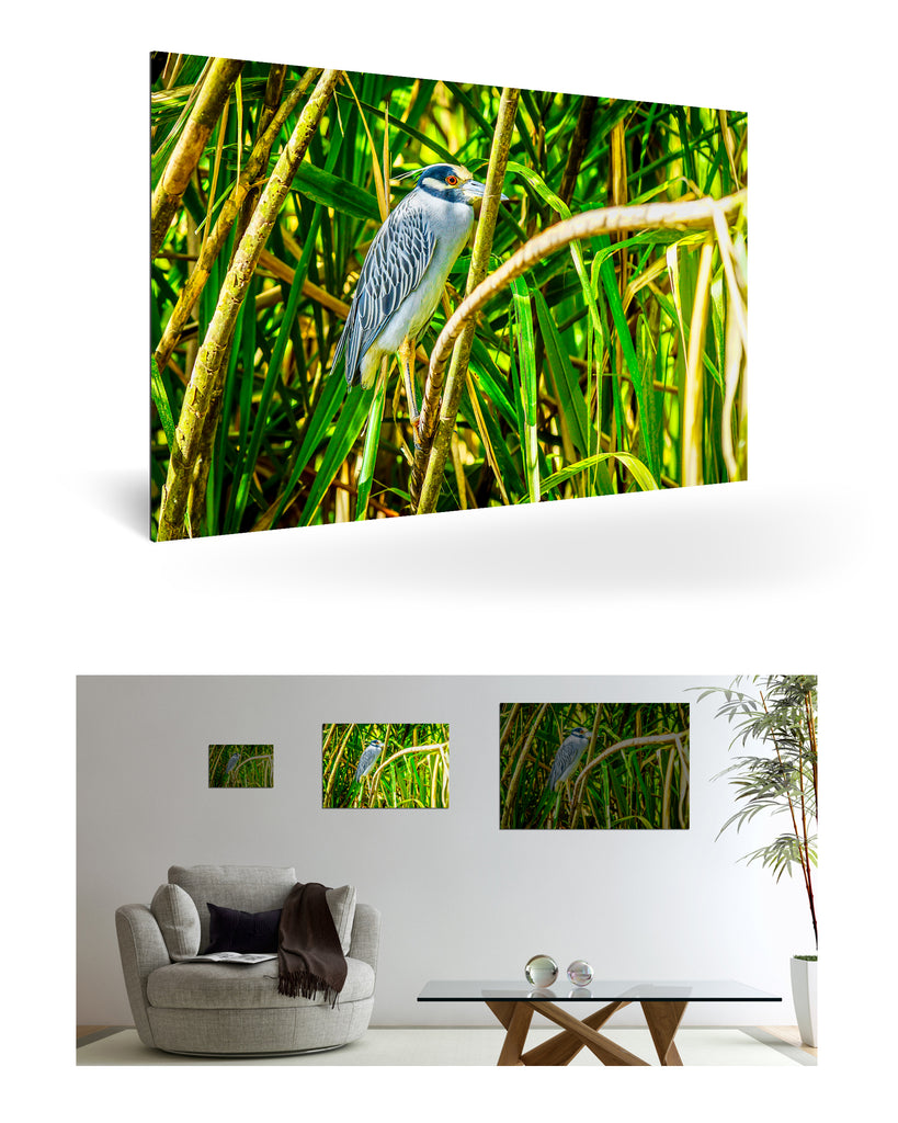 Puerto Limón, Costa Rica