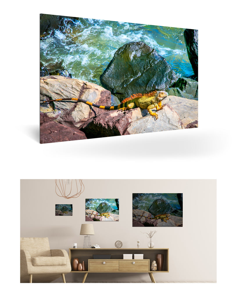 Puerto Limón, Costa Rica