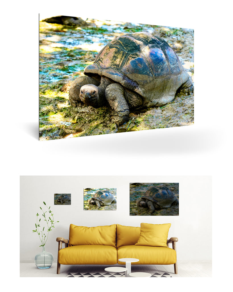 La Digue, Seychellen