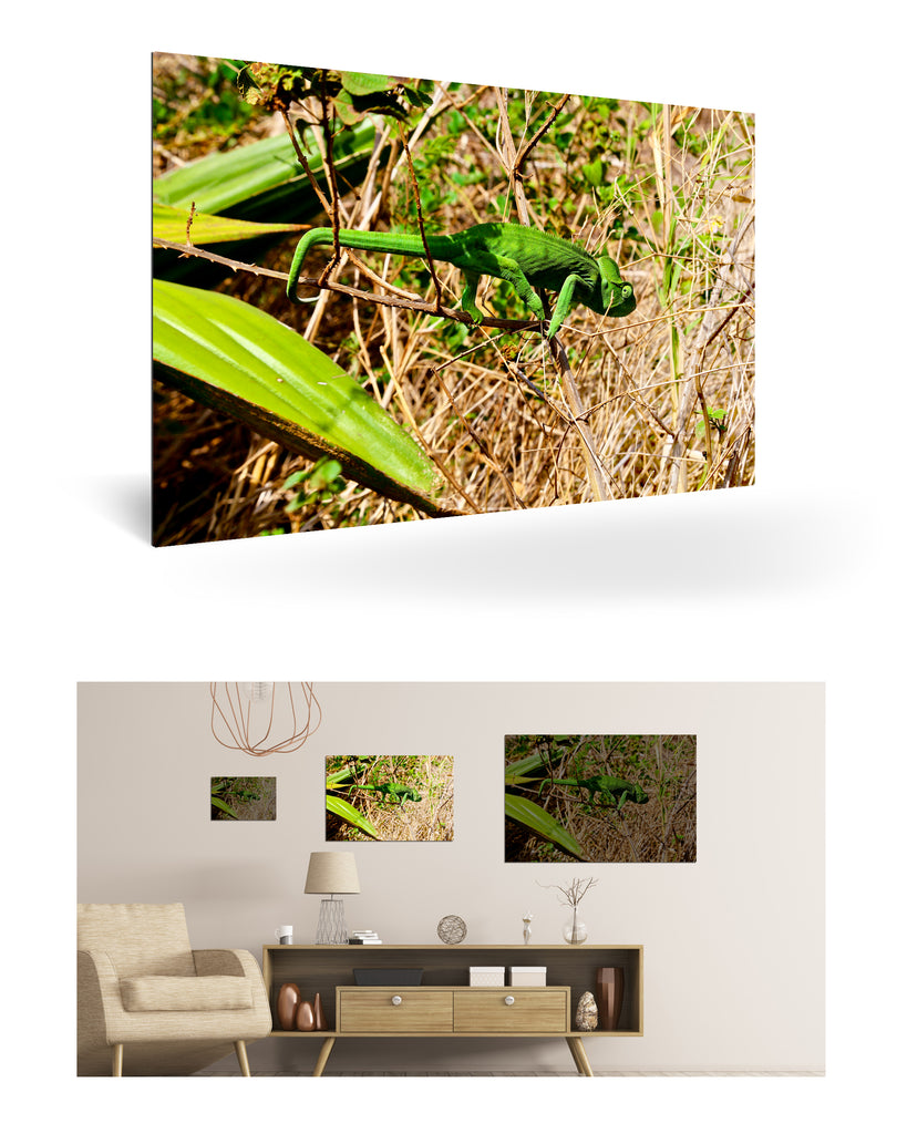 Antsiranana, Madagaskar