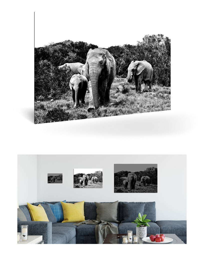 Port Elizabeth, Südafrika