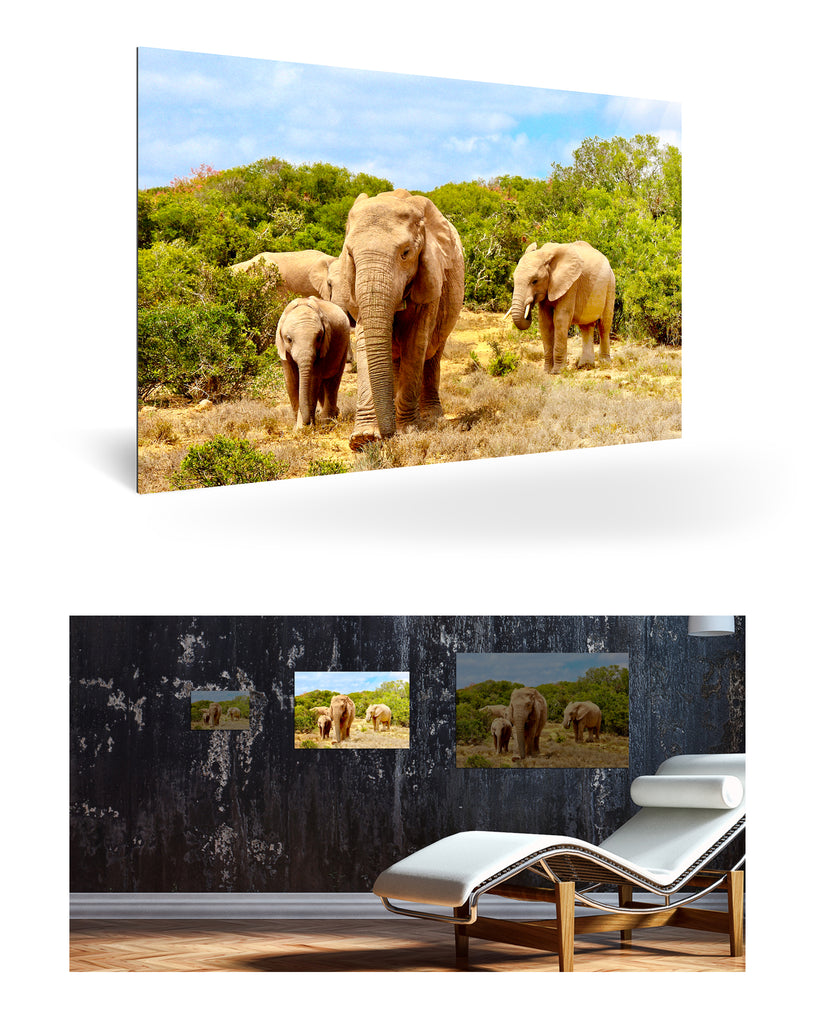 Port Elizabeth, Südafrika