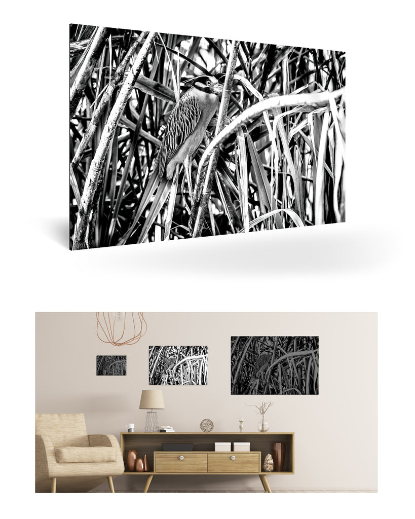 Puerto Limón, Costa Rica