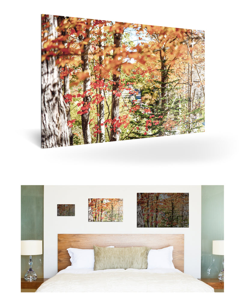 Bar Harbor, Vereinigte Staaten