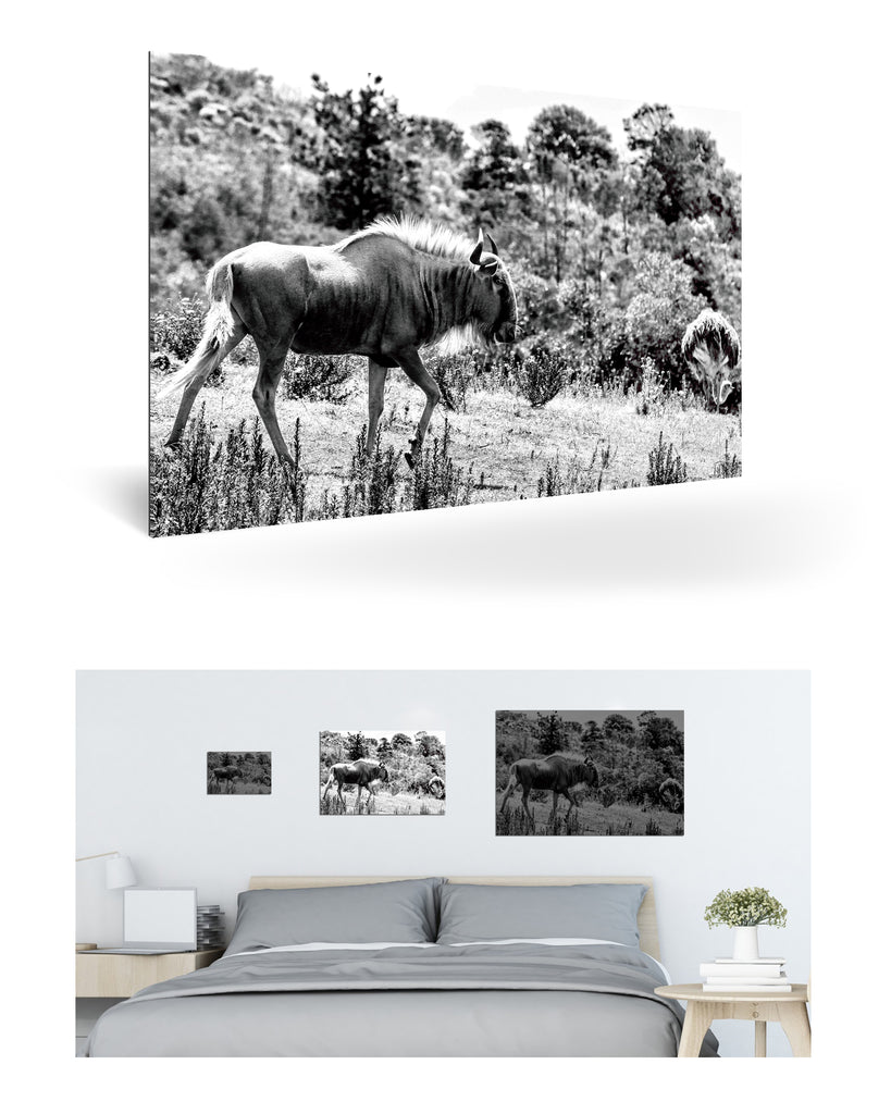 Mossel Bay, Südafrika