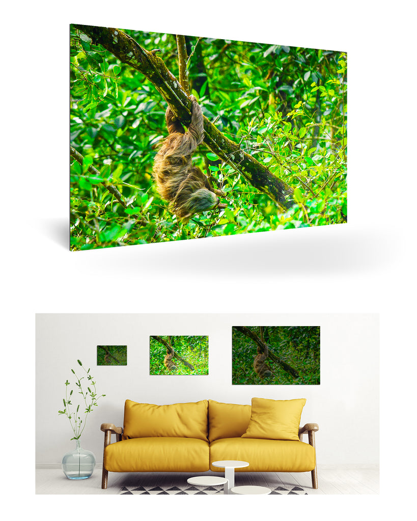 Puerto Limón, Costa Rica